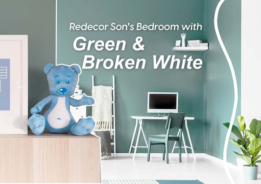 Son's bedroom interior idea