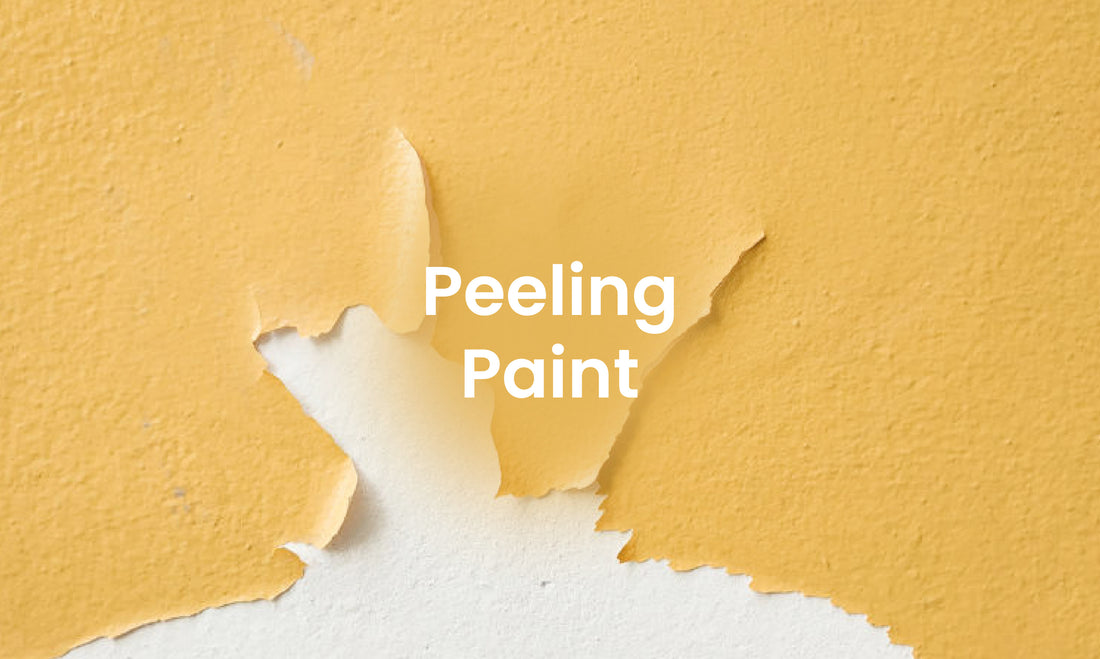 How to Prevent Peeling Paint