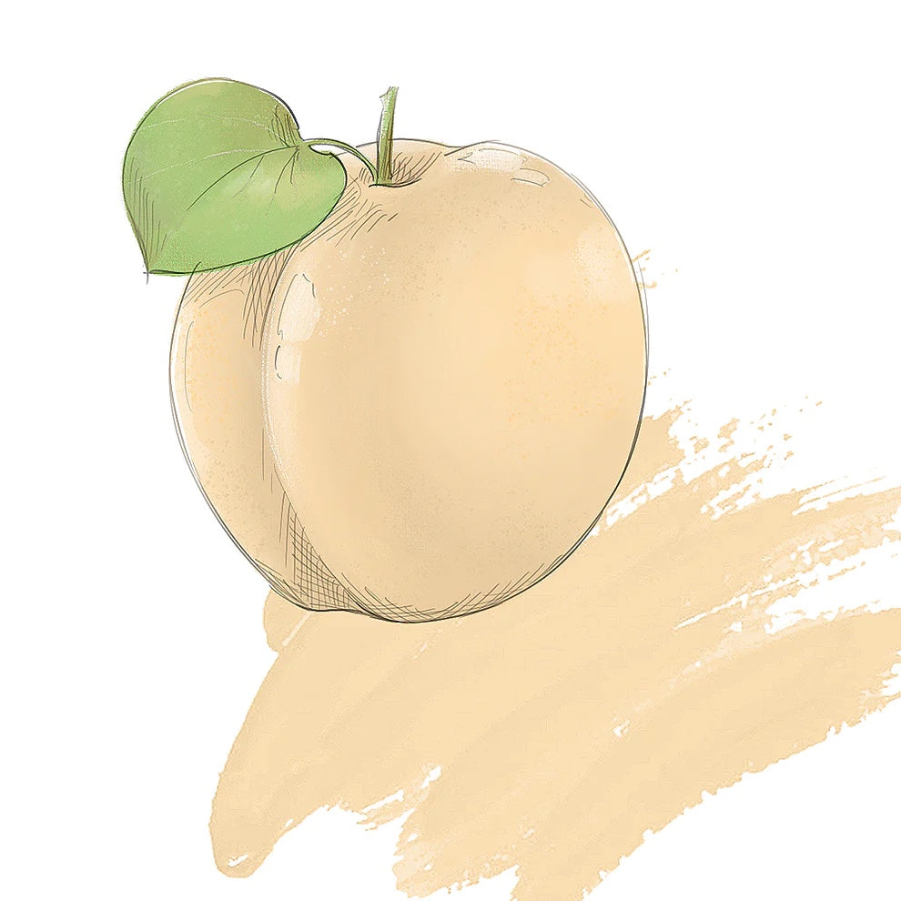 Apricot Cream