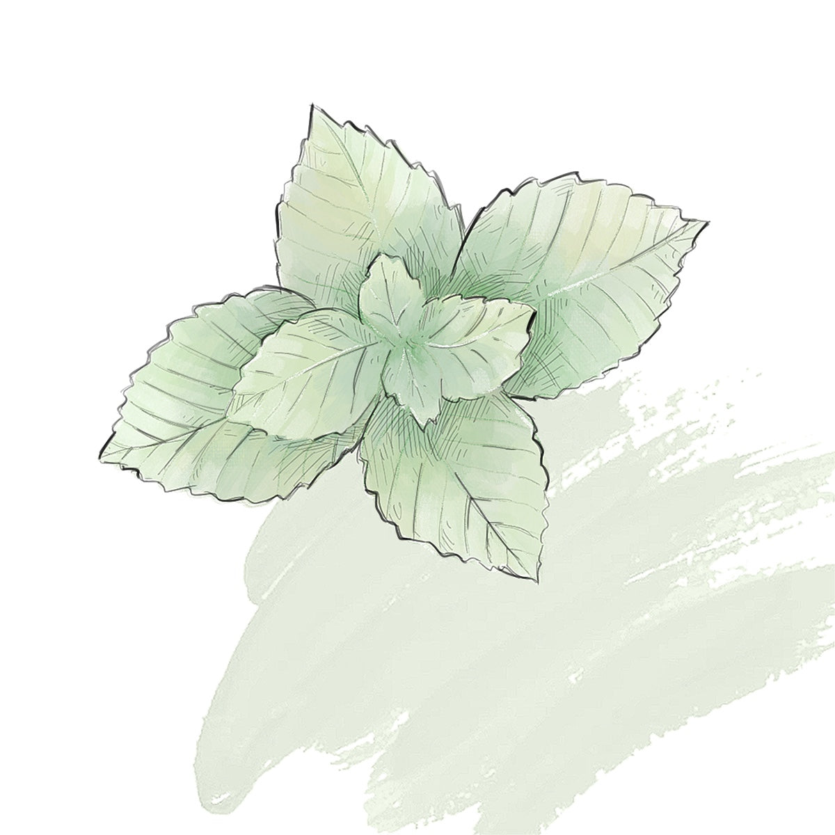 Iced Mint