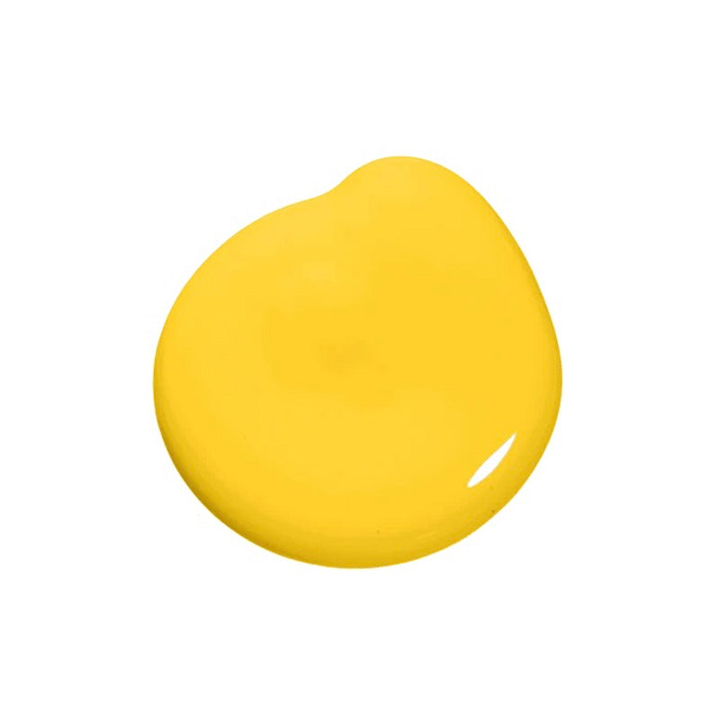 Summer Squash