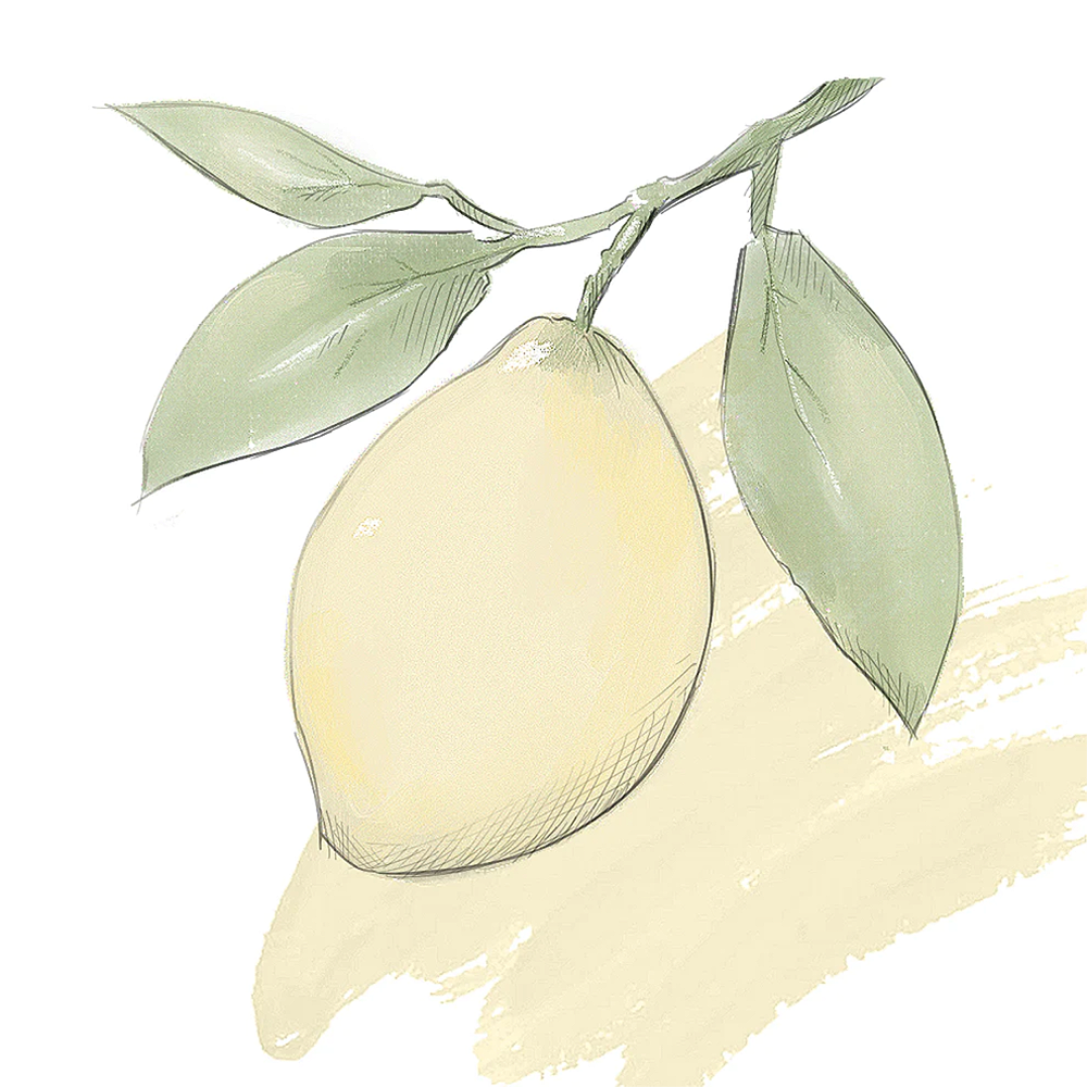 Fresh Lemon