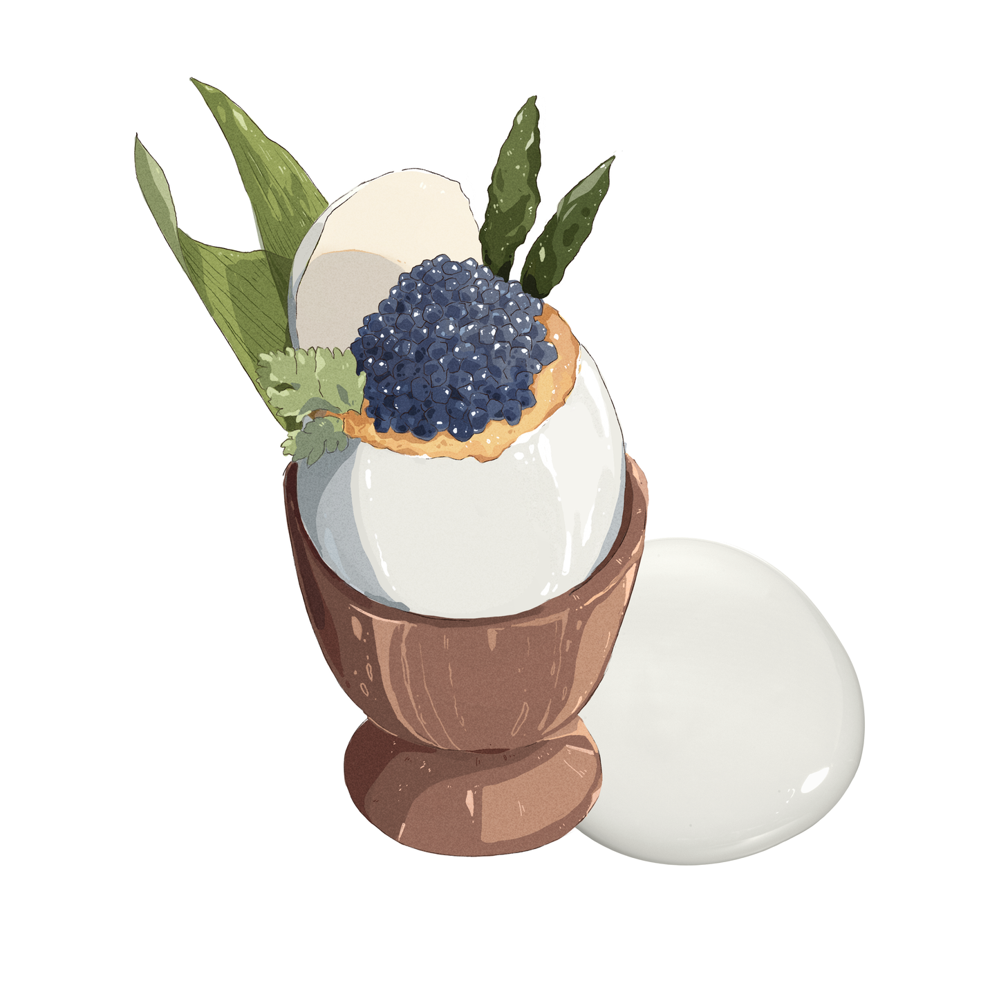 Egg Shell