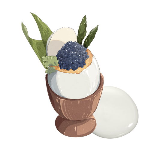 Egg Shell