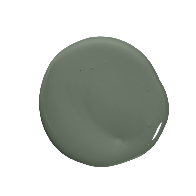 Green Seaweed Paint Color - Noroo Wall Paint Products in Singapore