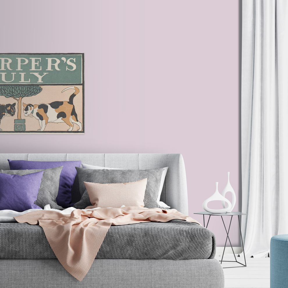 Paint Colour - pink Paint Colour- Cotton Candy paint colour - Noroo Paint Singapore