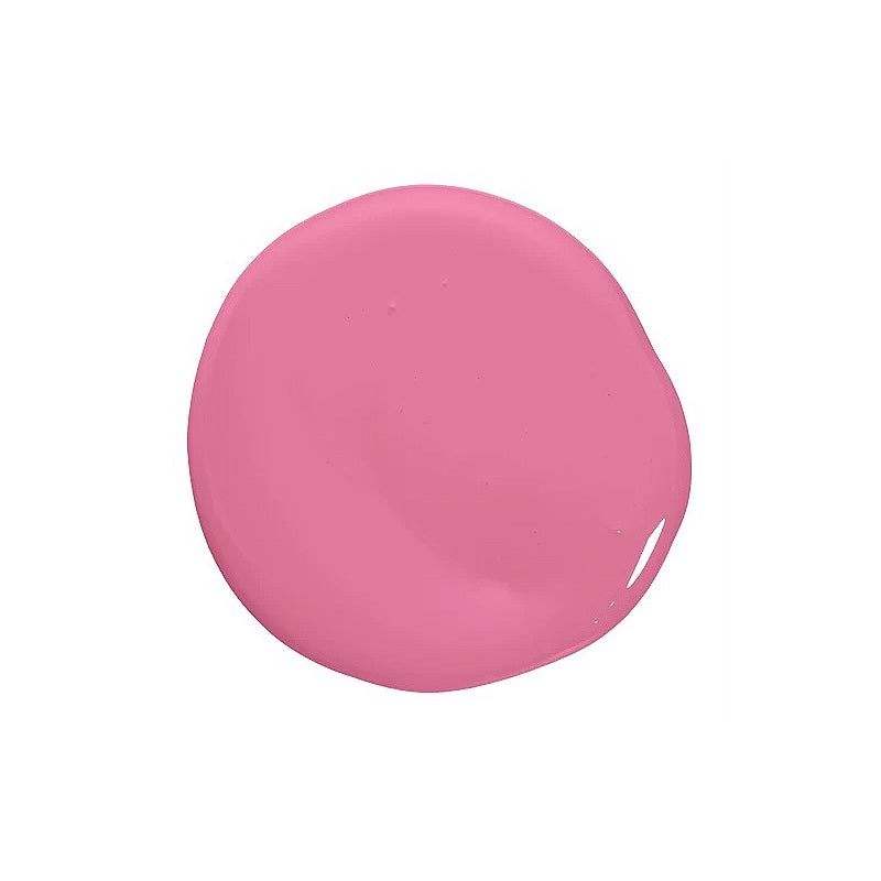 Paint Singapore Supplier - Pink Pitch Pitaya Color by Noroo Paint Singapore