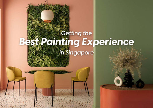 noroo paint singapore