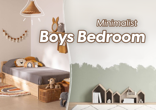 Minimalist Boys Bedroom Color Ideas