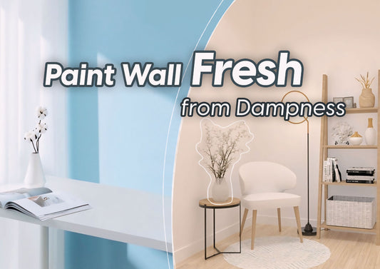 How to Keep Paint Wall Fresh from Dampness