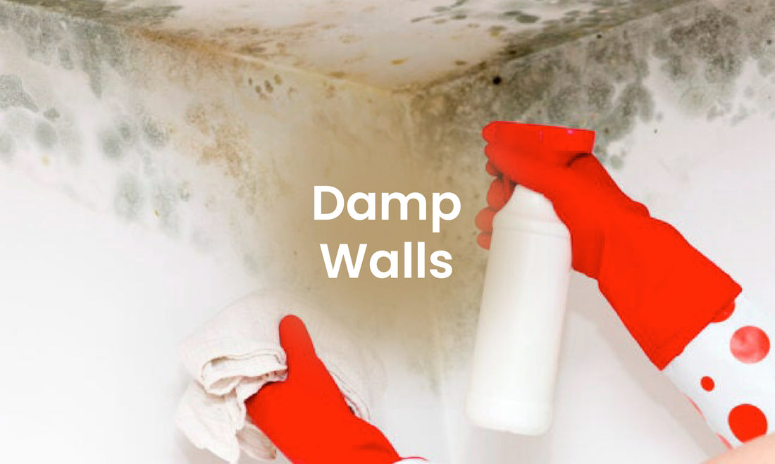 How to Overcome Damp walls