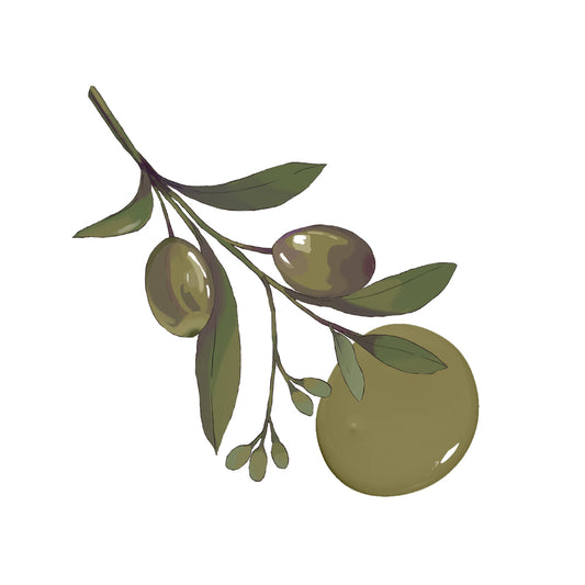 Olive Green
